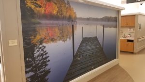 Wall graphics bring the outdoors indoors