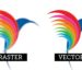 Raster vs Vector Images. The Important Differences.